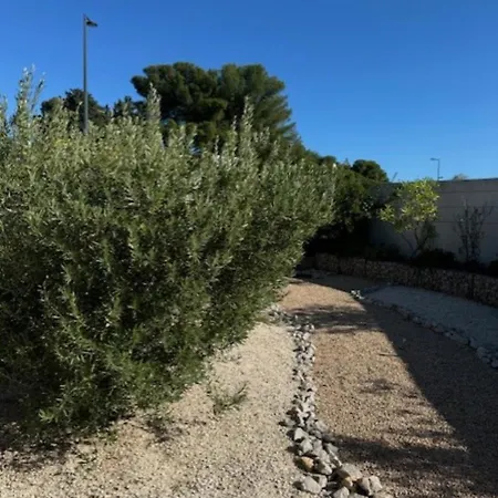 Front De 98 M², 3 Chambres, Terrasse 90 M² *